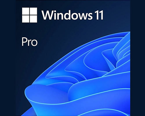 Microsoft Windows 11 Professional