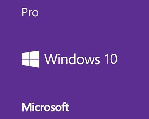 Microsoft Windows 10 Professional